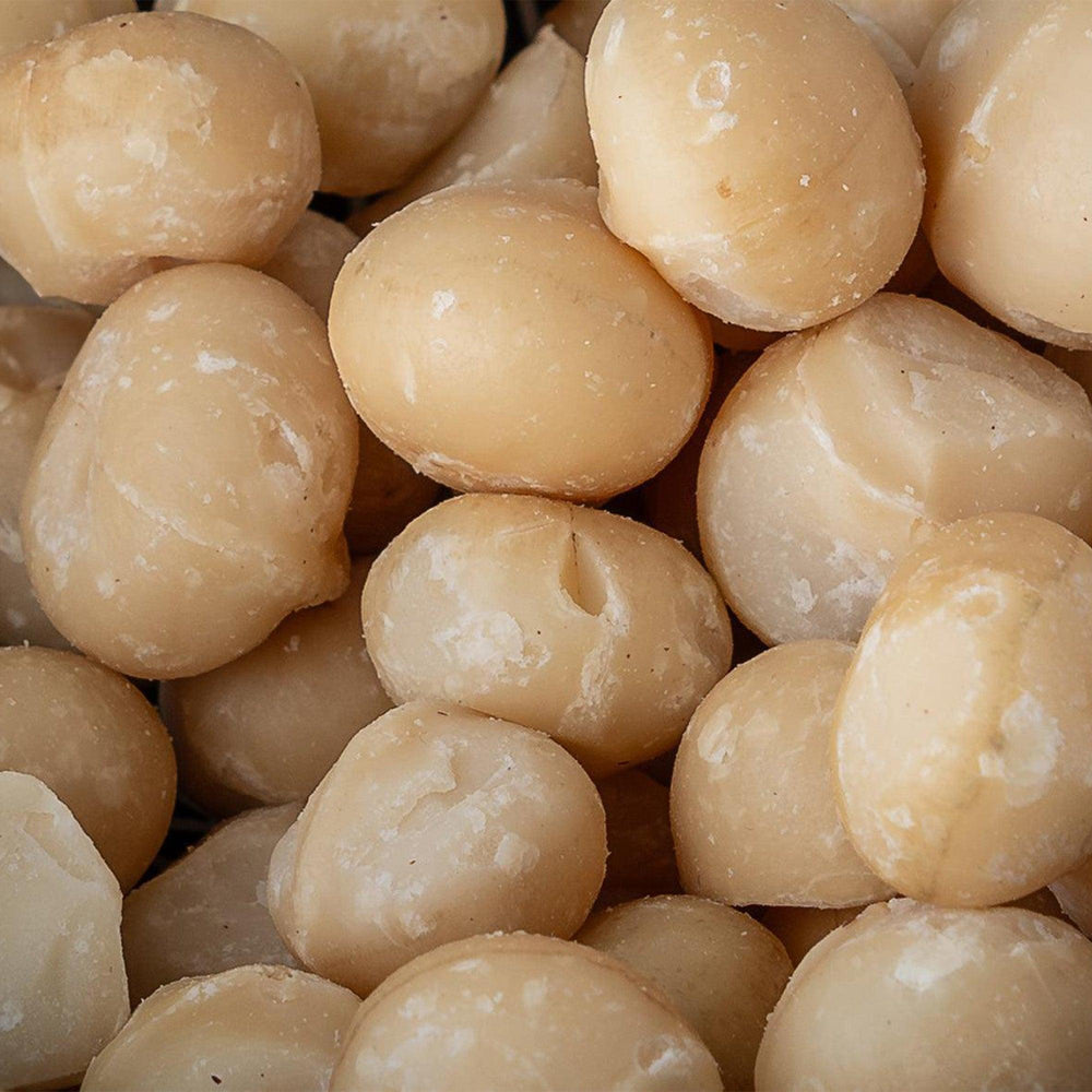 Noz Macadâmia 1 Kg