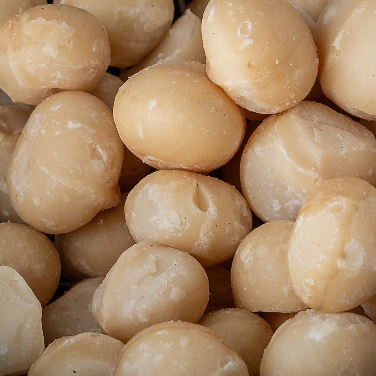 Noz Macadâmia 1 Kg