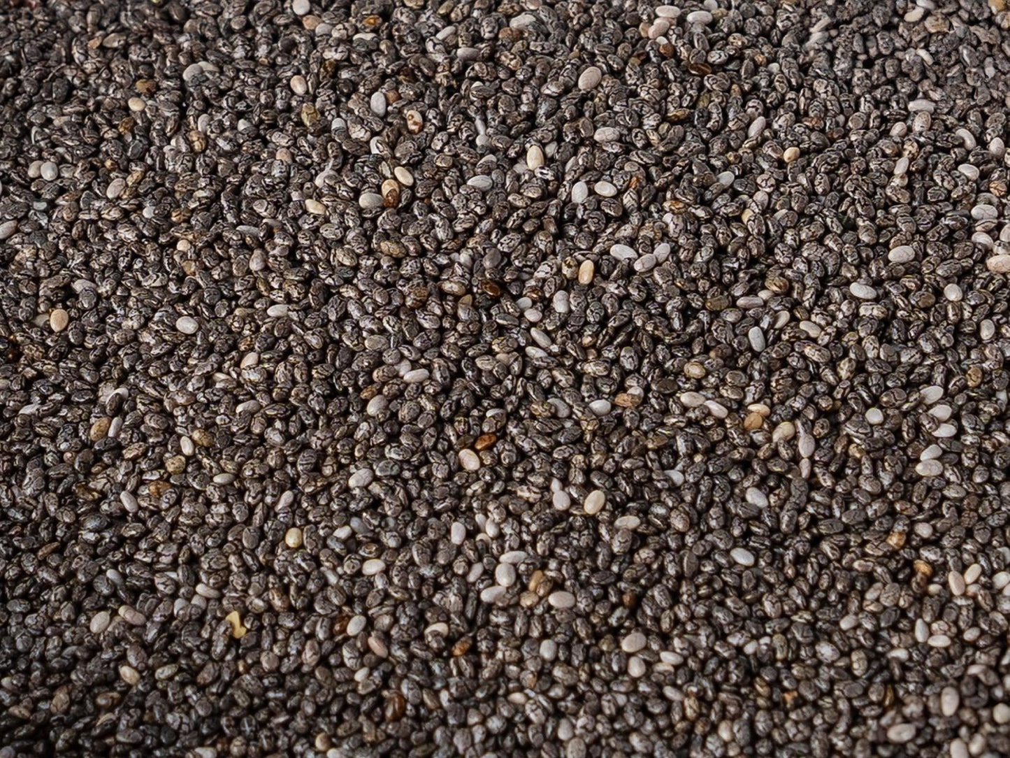 
                  
                    Sementes de Chia Pretas - Casca Rija
                  
                