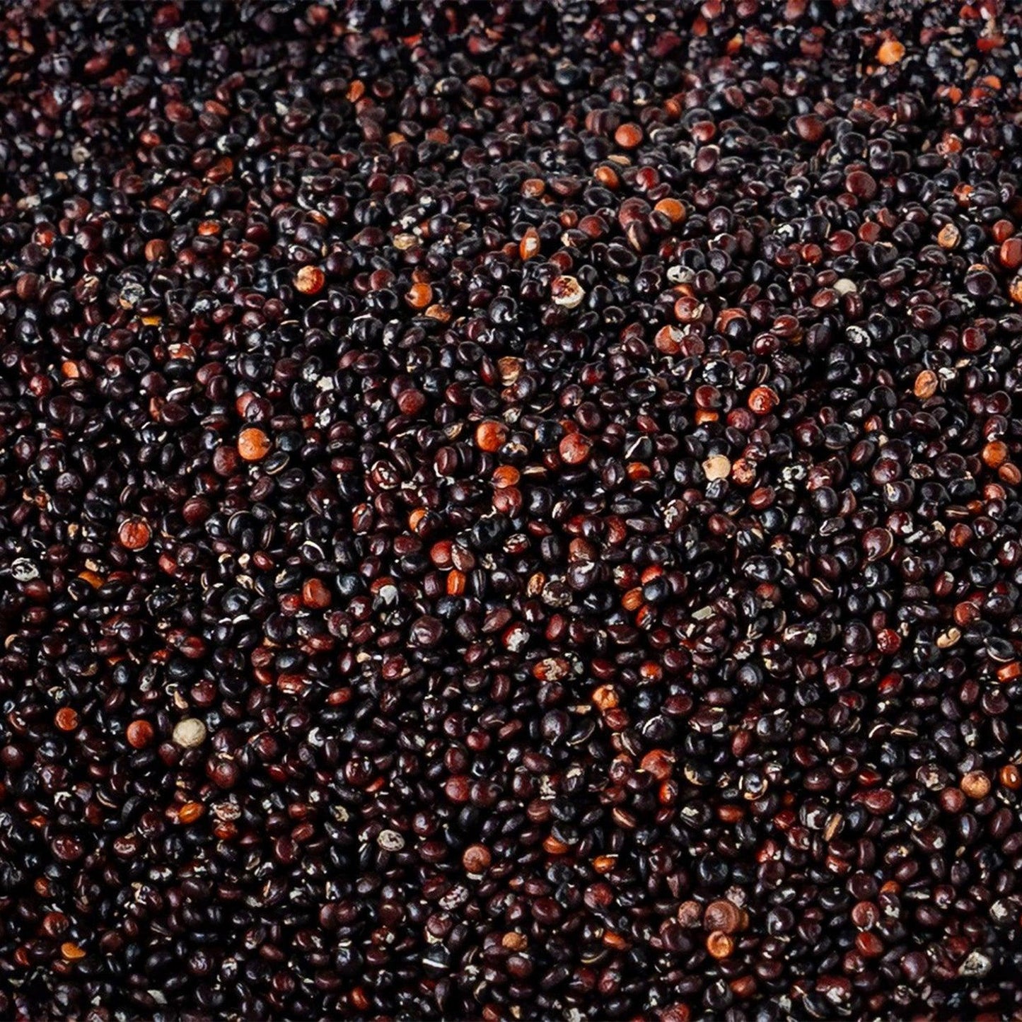 Sementes de Quinoa Preta