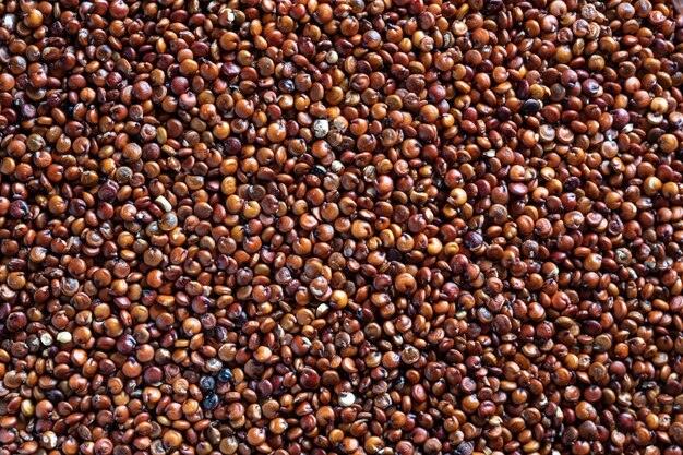 
                  
                    Sementes de Quinoa Vermelhas - Casca Rija
                  
                