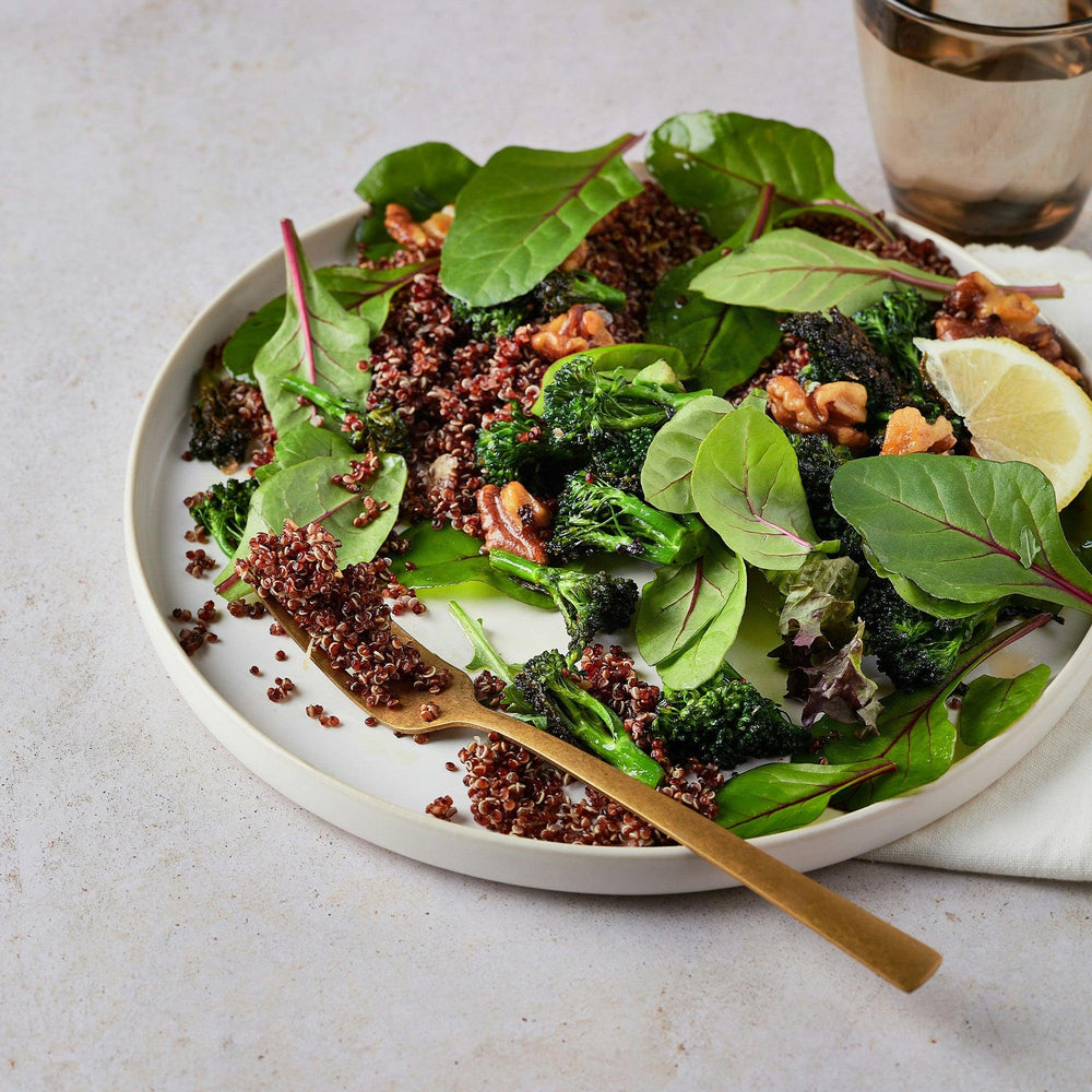 
                  
                    Sementes de Quinoa Vermelha - Casca Rija
                  
                